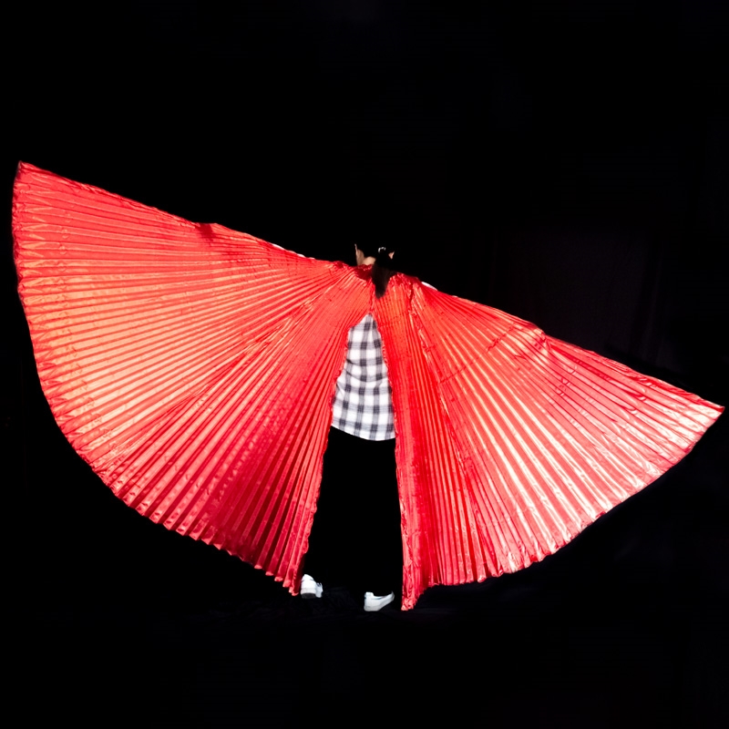 Danza del ventre Ali di Isis A - Women Accessories In Egypt recensione e prezzo